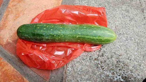 什么网站可以吃瓜,吃瓜群众的“瓜田”指南