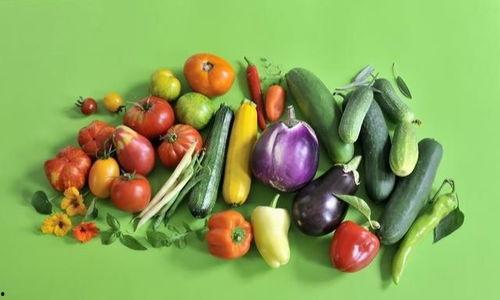 大明带你吃瓜,品尝历史瓜果盛宴