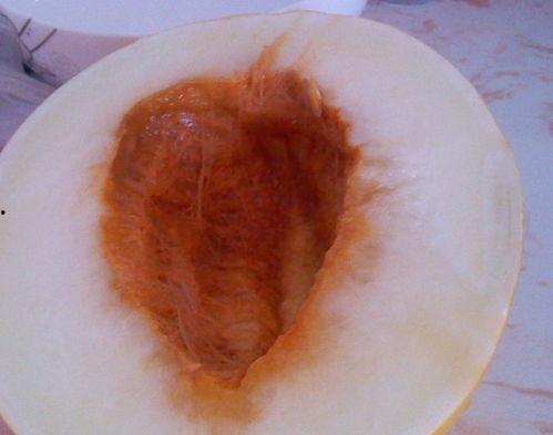 宝宝吃伊丽莎白瓜,营养丰富的伊丽莎白瓜食谱