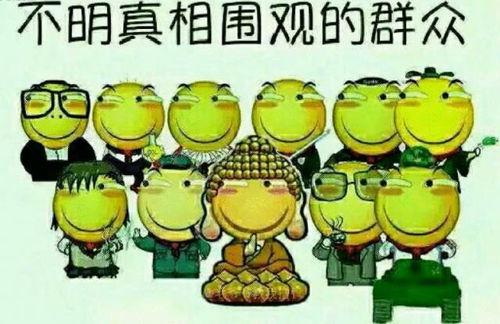 吃瓜群众专属语,网络热词背后的趣味与思考