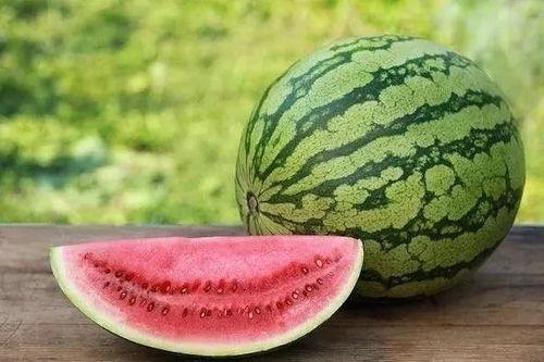 吃土瓜会咳嗽吗,吃土瓜引发咳嗽的真相揭秘