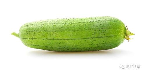 吃土瓜会咳嗽吗,吃土瓜引发咳嗽的真相揭秘