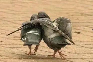 跳远游戏吃瓜,吃瓜群众见证的竞技盛宴