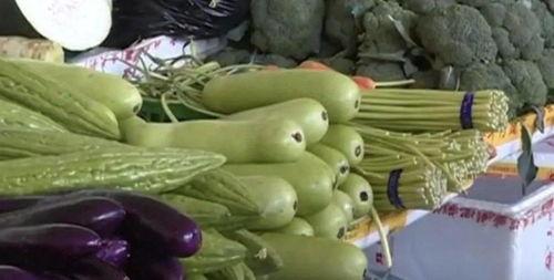 老人吃瓜苦味,探寻老人吃瓜苦味的智慧人生