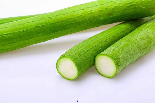 老人吃瓜苦味,探寻老人吃瓜苦味的智慧人生