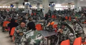 吃瓜郑州财经,吃瓜群众聚焦的财经动态解析