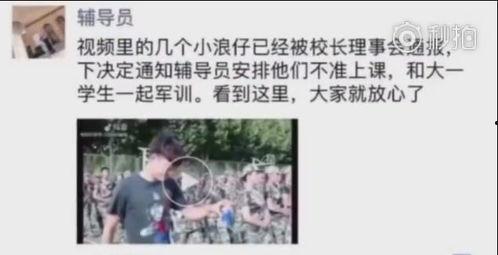 吃瓜郑州财经,吃瓜群众聚焦的财经动态解析