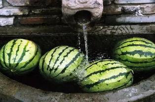 看电视没瓜吃,揭秘“没瓜吃”背后的娱乐焦虑