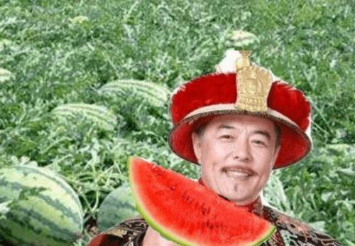 宫圈吃瓜群,揭秘宫廷秘闻，带你领略宫廷风云