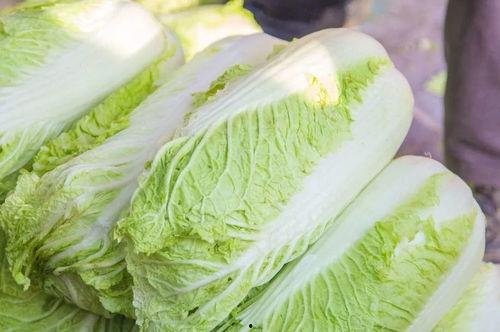 莱芜吃大瓜,吃大瓜，畅享清凉时光