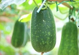 今日吃瓜必吃大瓜,揭秘娱乐圈最新重磅事件