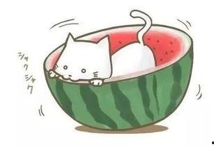 中国球吃瓜,揭秘球吃瓜背后的故事