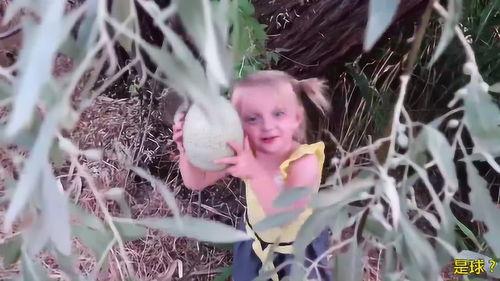 中国球吃瓜,揭秘球吃瓜背后的故事