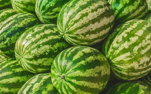 福州吧吃瓜,揭秘城市美食圈，吃瓜群众必看的美食攻略