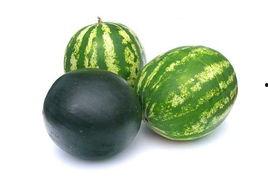 仙居吃瓜事件,一场网络热议背后的真相揭秘