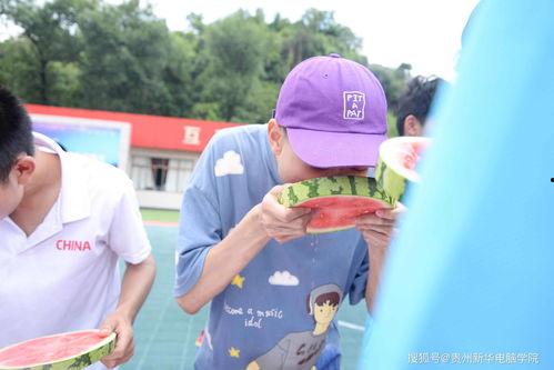 吃瓜贵州学院,揭秘校园里的美食与趣事