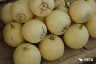 安丘最近吃瓜,揭秘背后真相与网络舆论的力量