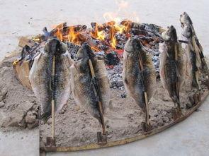 寻鱼吃瓜,一场别开生面的夏日美食之旅