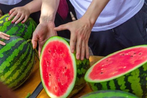 大学吃瓜免费,揭秘校园生活新潮流