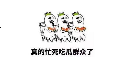 资深吃瓜群众图片,资深吃瓜群众视角下的娱乐圈风云录