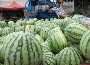 网络吃瓜配图,揭秘热门事件背后的趣味瞬间