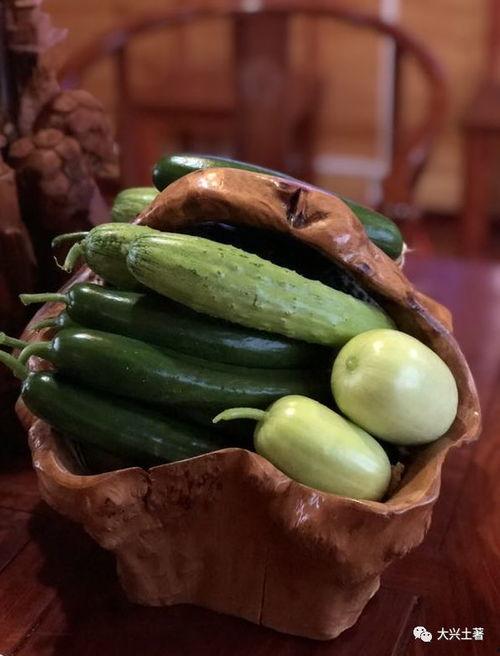 各种大网红吃瓜,揭秘各大网红背后的惊人内幕