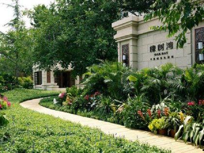 武汉橡树湾吃瓜,一场别开生面的“吃瓜”盛宴