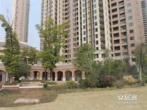 武汉橡树湾吃瓜,一场别开生面的“吃瓜”盛宴