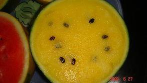 晚上有瓜吃吗,揭秘晚上的美食诱惑